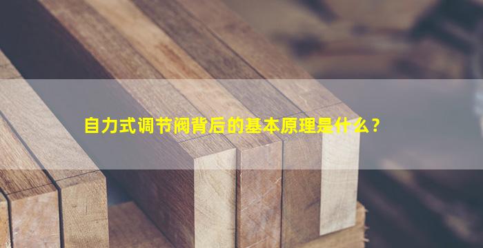 自力式调节阀背后的基本原理是什么？