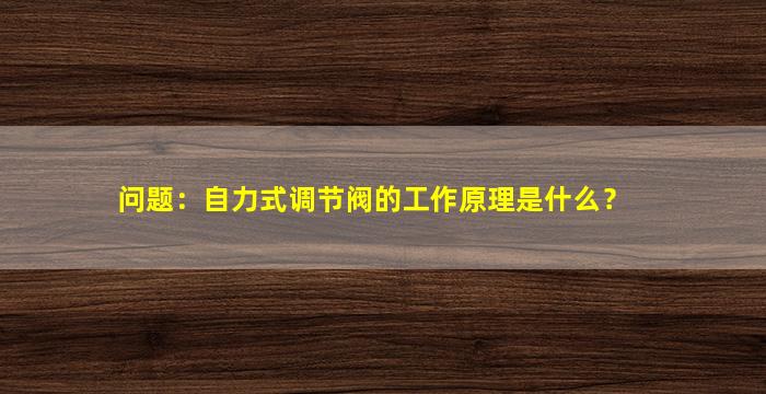 问题：自力式调节阀的工作原理是什么？