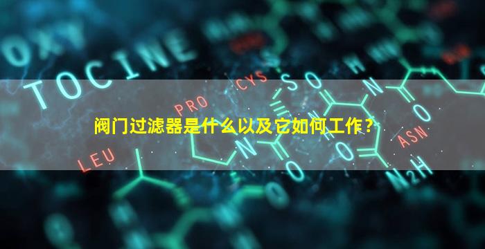 阀门过滤器是什么以及它如何工作？